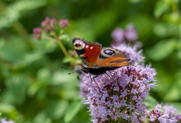 Similar image 21441974