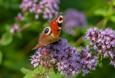 Similar image 21441976