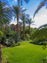 Similar image 21441977