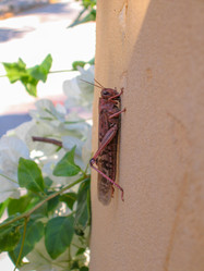 Similar image 21441979