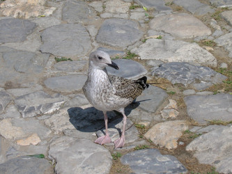 Similar image 21441983