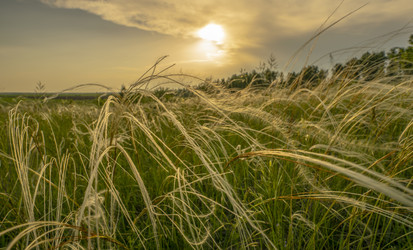 Similar image 21441985