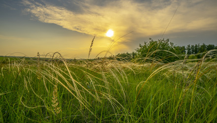 Similar image 21442409