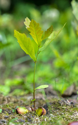 Similar image 21442415