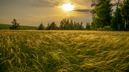 Similar image 21442417