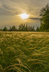 Similar image 21442419