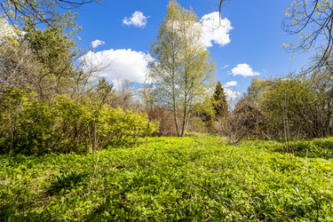 Similar image 21437945