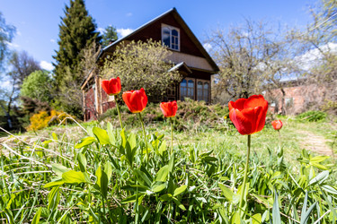 Similar image 21437949