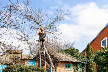 Similar image 21437953