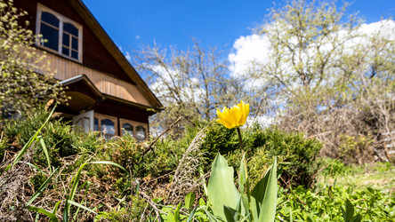 Similar image 21437882