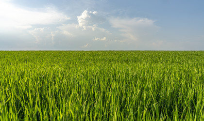 Similar image 21440991