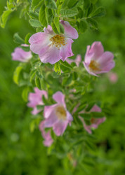 Similar image 21441008