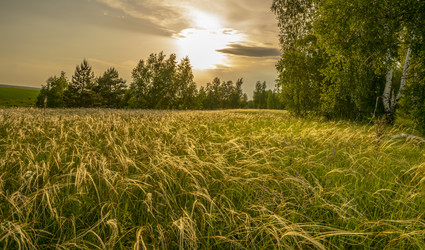 Similar image 21441011