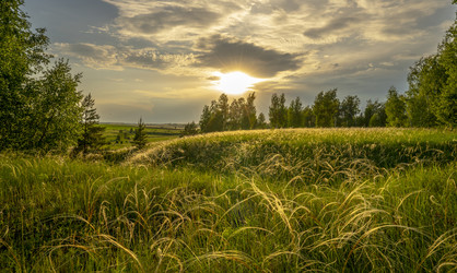 Similar image 21441180