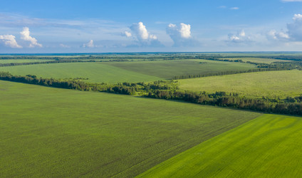 Similar image 21441185