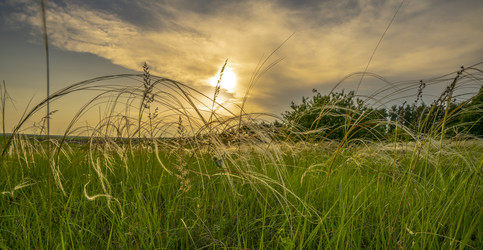 Similar image 21441188