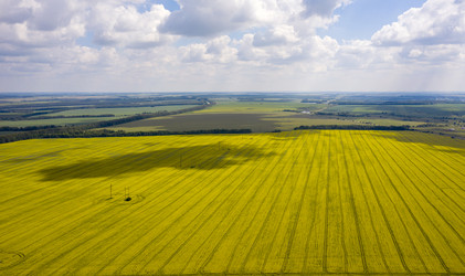 Similar image 21441189