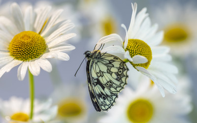 Similar image 21441193