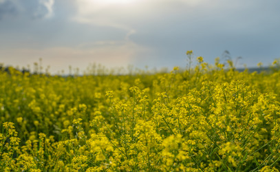 Similar image 21441195