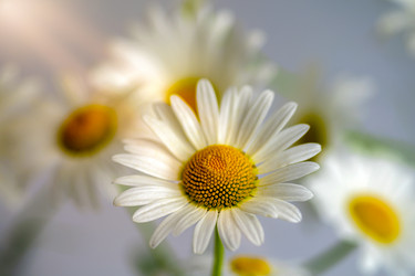 Similar image 21441197