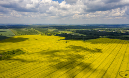 Similar image 21441198