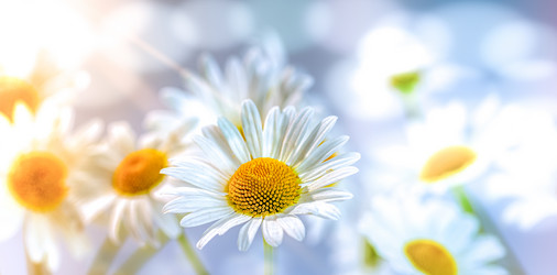 Similar image 21441199