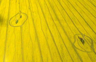 Similar image 21441200