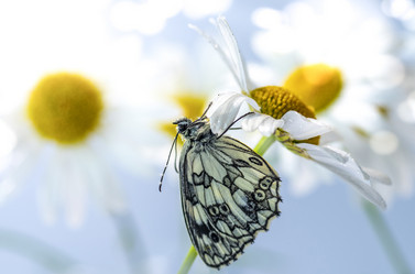 Similar image 21441201