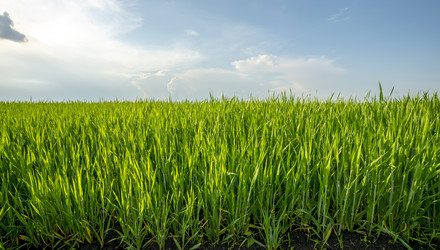 Similar image 21441202