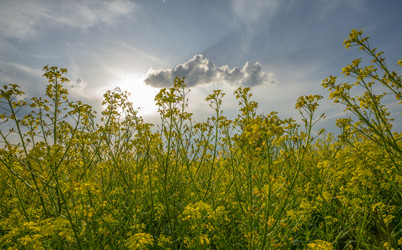 Similar image 21441203