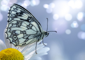 Similar image 21441204