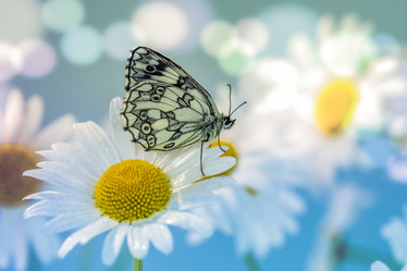 Similar image 21441205