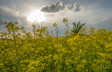 Similar image 21441207