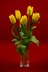 Similar image 21441208