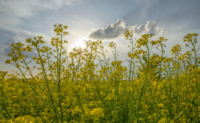 Similar image 21441211