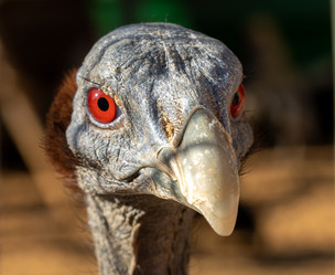 Similar image 21441363