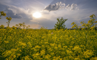 Similar image 21441365