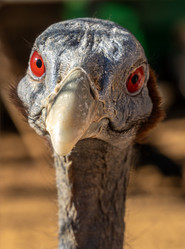 Similar image 21441366