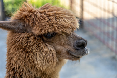 Similar image 21441375