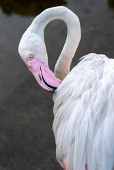 Similar image 21441381