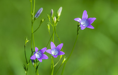 Similar image 21441382