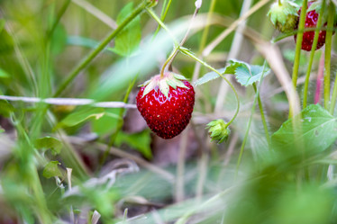 Similar image 21441384