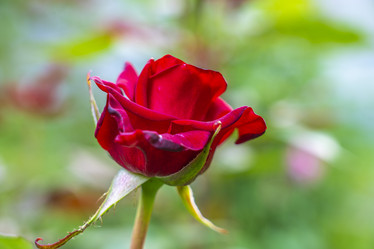 Similar image 21441386