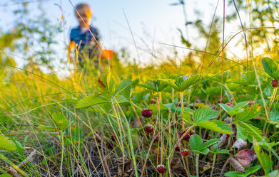 Similar image 21441389