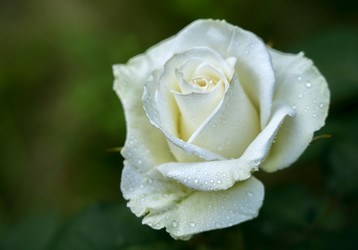 Similar image 21441392