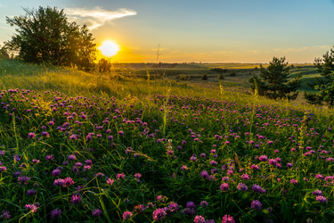 Similar image 21441393