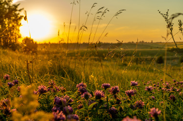 Similar image 21441397