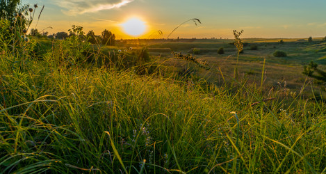 Similar image 21441399