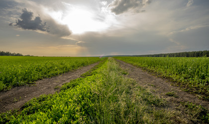 Similar image 21441403