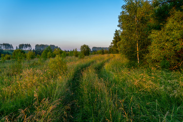 Similar image 21441404